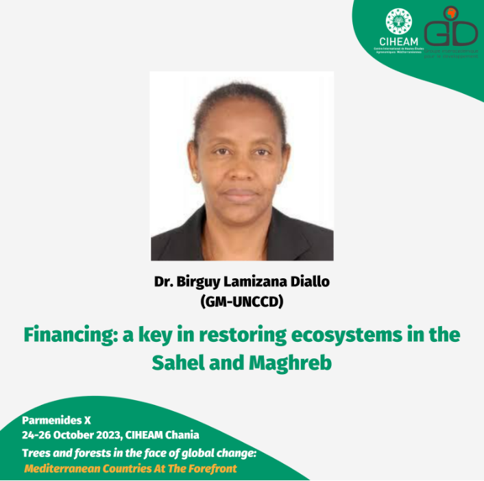 For the last intervention of the day we have the pleasure to follow Birguy LAMIZANA DIALLO @BirguyL Sr Programme Officer @UNCCD How can #Financing be a key in restoring ecosystems in the #Sahel and #Maghreb? youtube.com/watch?v=0ptdTg…