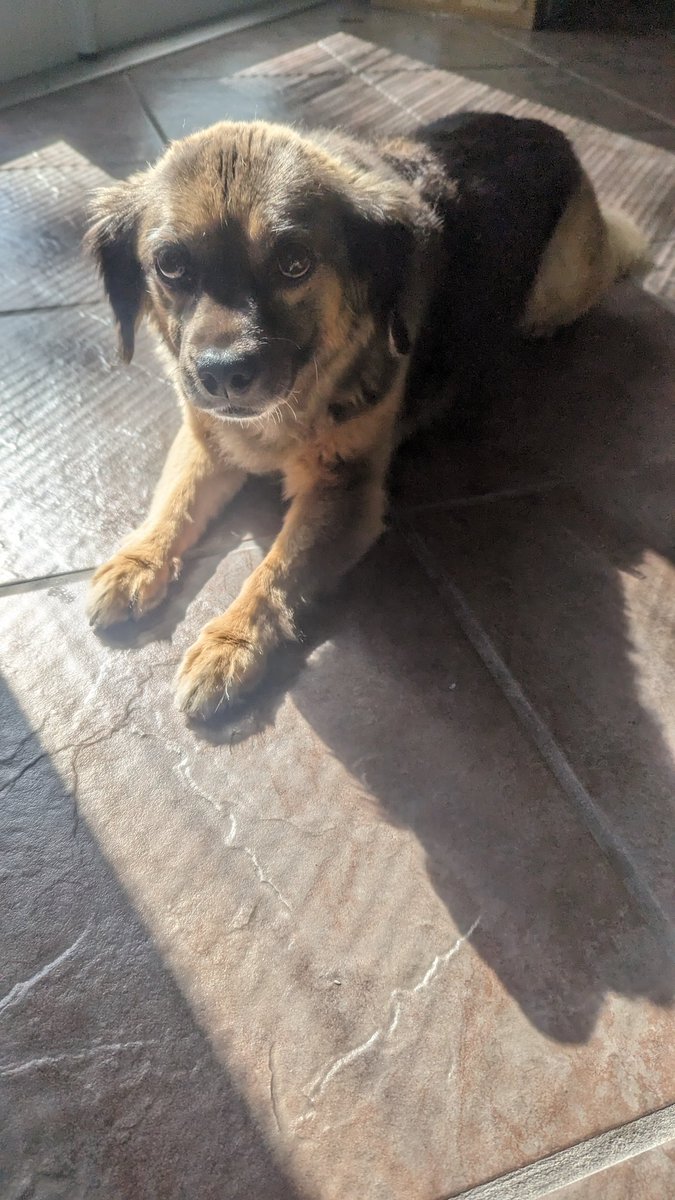 Cold pitching prospects has made up nearly 24% of my revenue in the last 5.5 years. Completely cold.

AMA anything as I walk my 16-year-old pup. Yeah 16 going on 5 weeks, weird, I know.