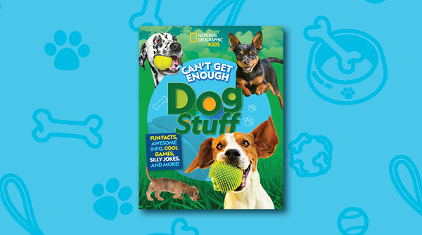 Does your dog howl? It might want attention, although some dogs howl just for fun. Learn more about your dog's language in this ulti-mutt book of dog facts! amzn.to/3QqbugF #dogs #howling #dogshowling #pets #puppies #pups #dogstuff