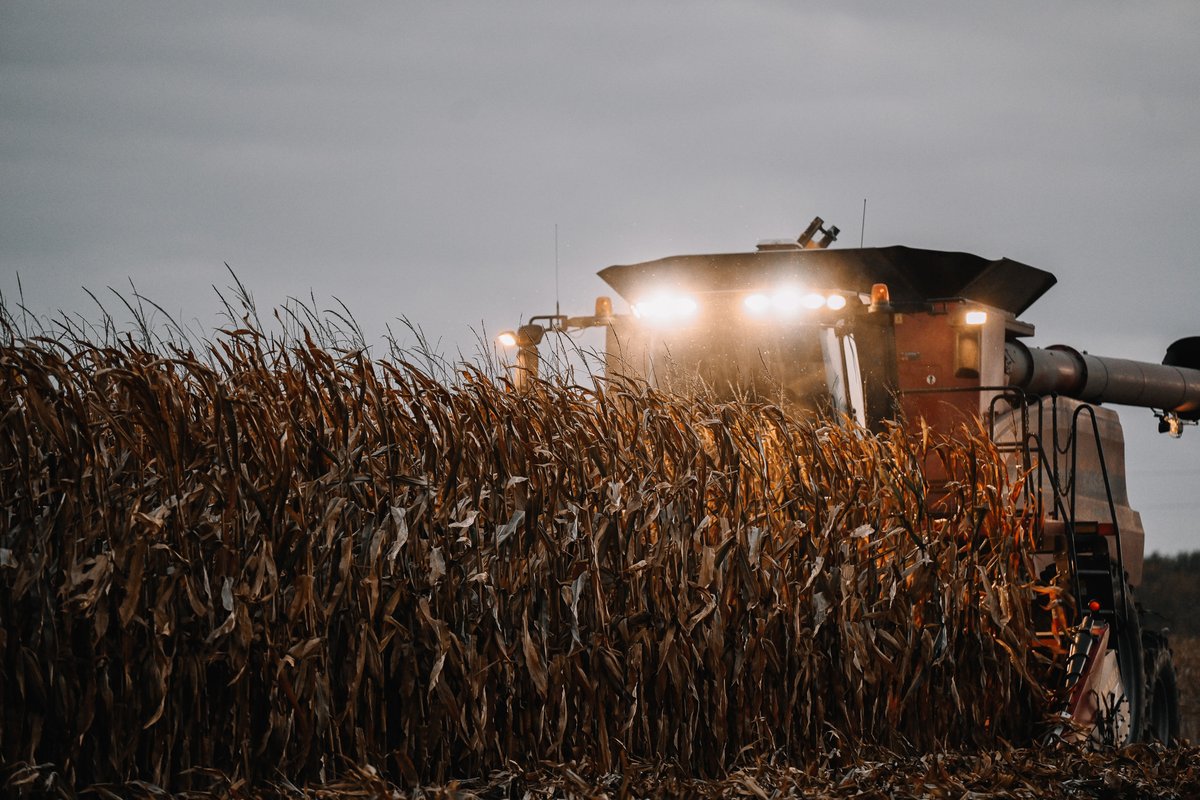 🌽Harvest Update🌽

Approximately 62% of corn and 93% of soybeans have been harvested in Iowa according to the USDA.

How far along are you? 

#harvest2023 #Iowa #cornharvest #soybeanharvest