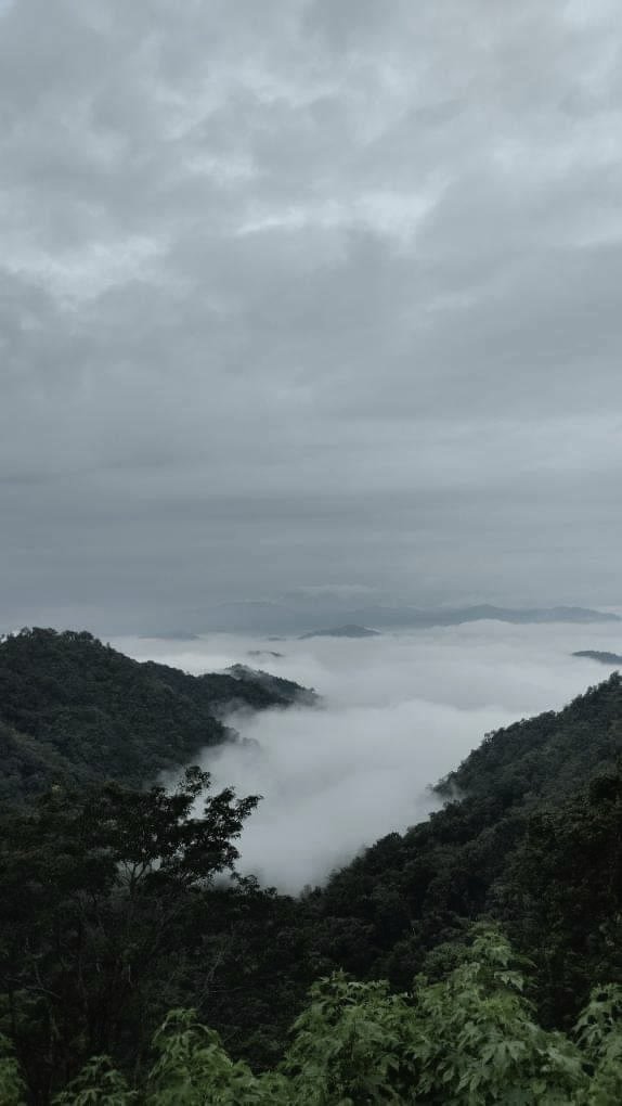 type (@typexxp) on Twitter photo 