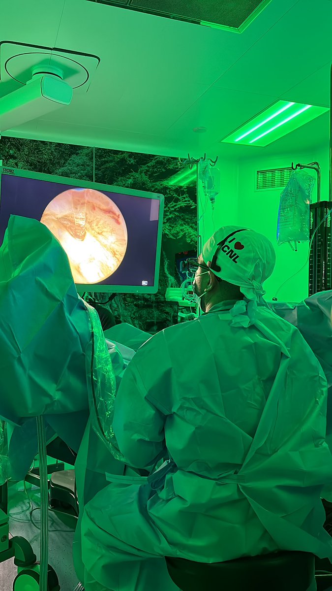 Vivimontagne's tweet photo. Primer Curso de #ThuFLEP #ThuliumLaserFiberEnuclationofTheProstate en Panama. #CIDELAS @elito4 @claudiagonalfa #EMS @urobraulio #CiudaddelaSalud @CSSPanama https://t.co/d96pH2TDU3
