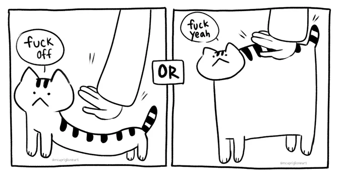 cats have only two moods