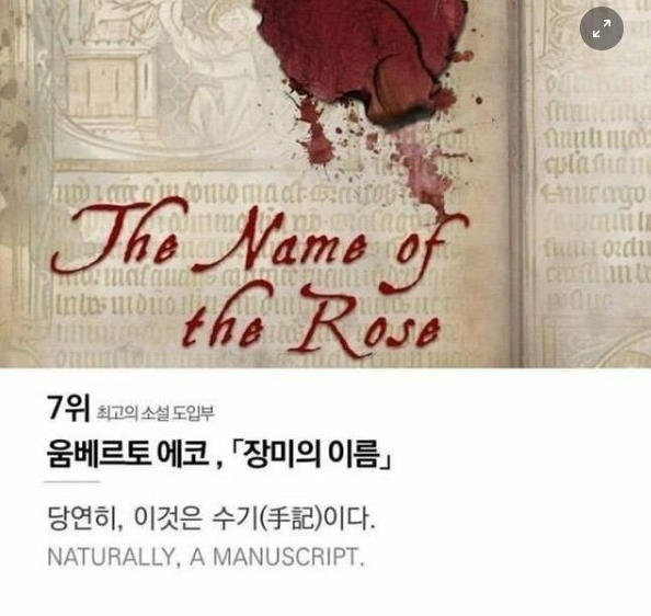 밈카이브 tweet media