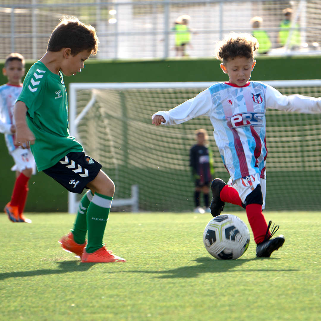 El programa Real Betis Inside ya ha comenzado para estos chicos de Puerto Rico 🇵🇷

¡Esperemos que disfrutéis mucho de la experiencia verdiblanca! 💚🤩