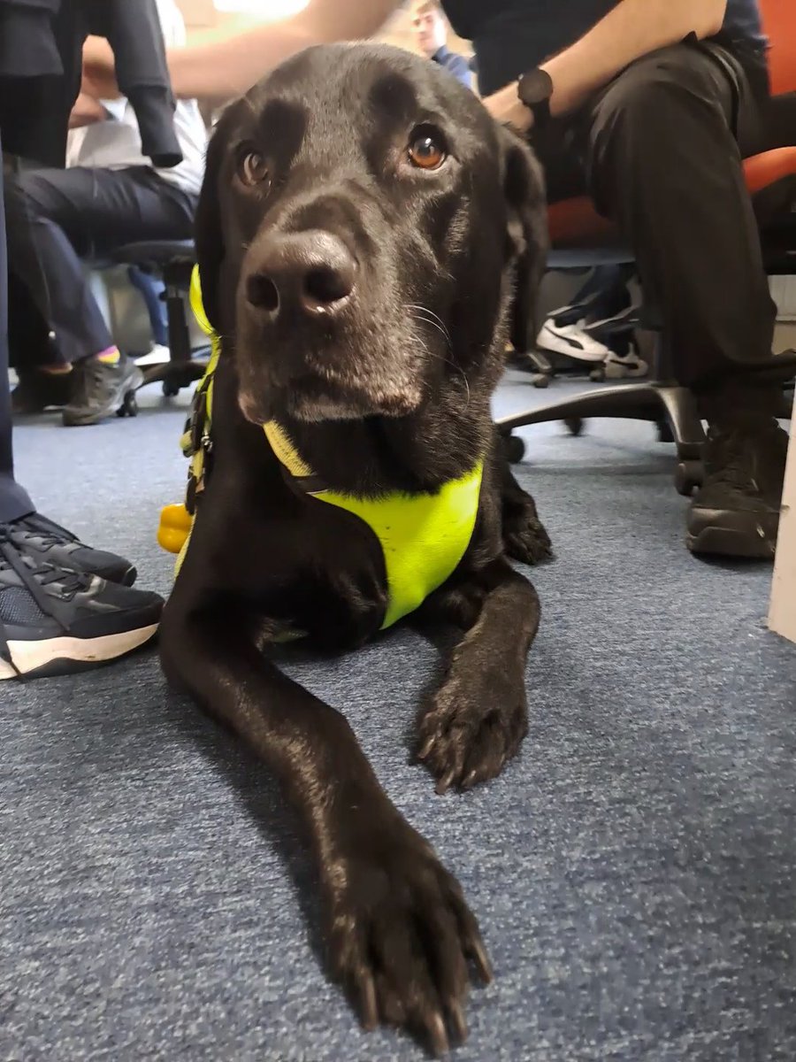 Technology Team LTH #oneteam tweet media