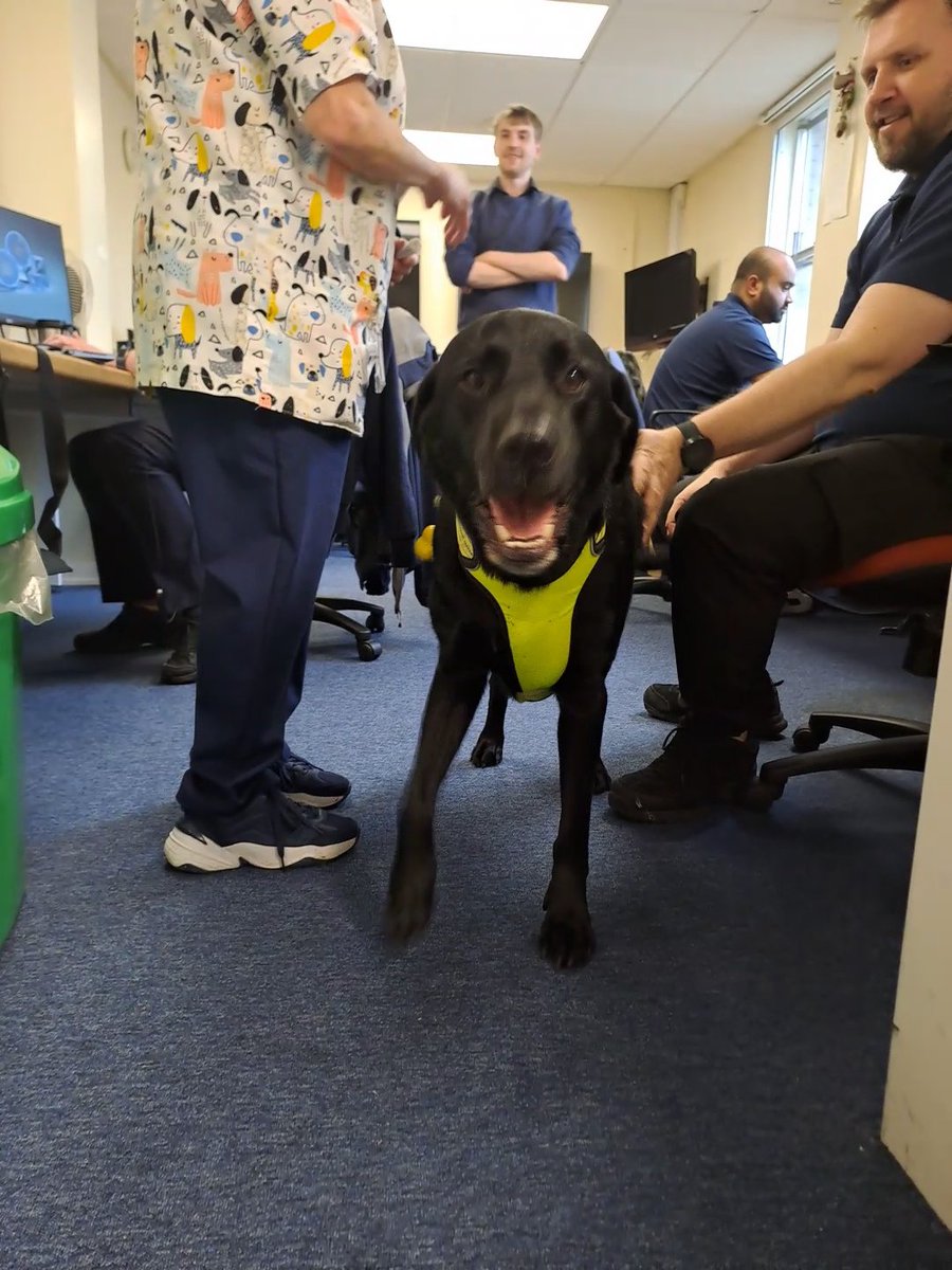 Technology Team LTH #oneteam tweet media