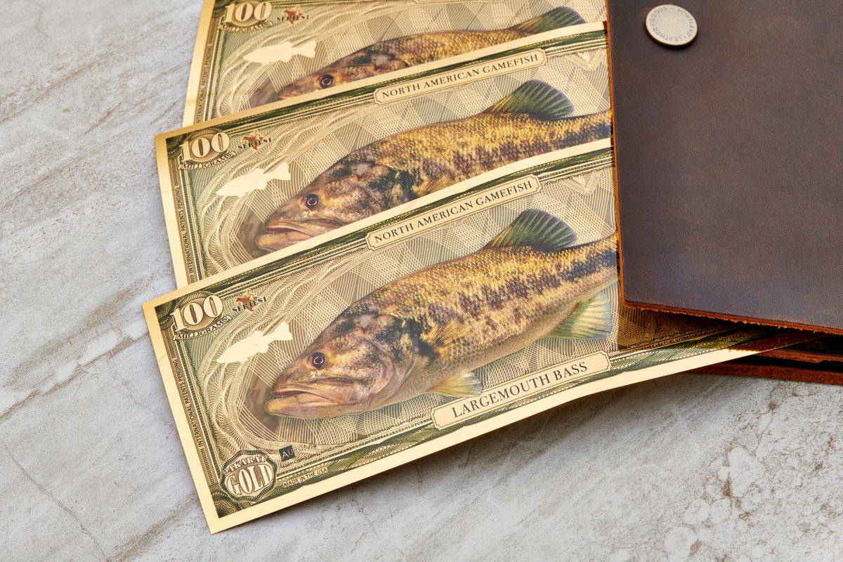The 100 milligram Largemouth Bass Aurum® bill is available on our website.
Shop:
bit.ly/3tLGj6s
Sign up for our newsletter to get company news, promotions, and product updates.
bit.ly/45AiSuv

#gold #aurum #aurumbills #stacking #stacker #bass #gamefish