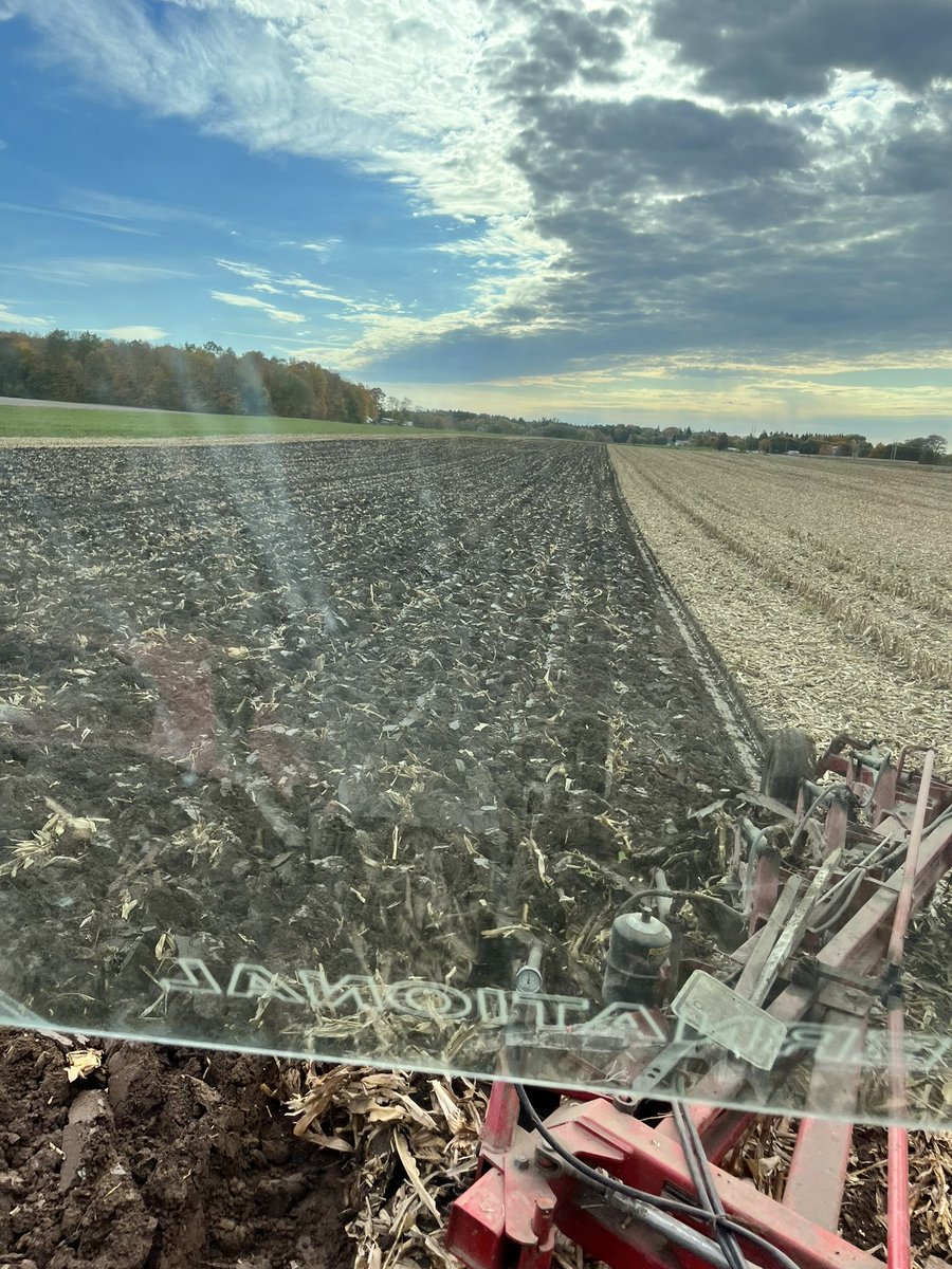 View from the office! Beauty day!