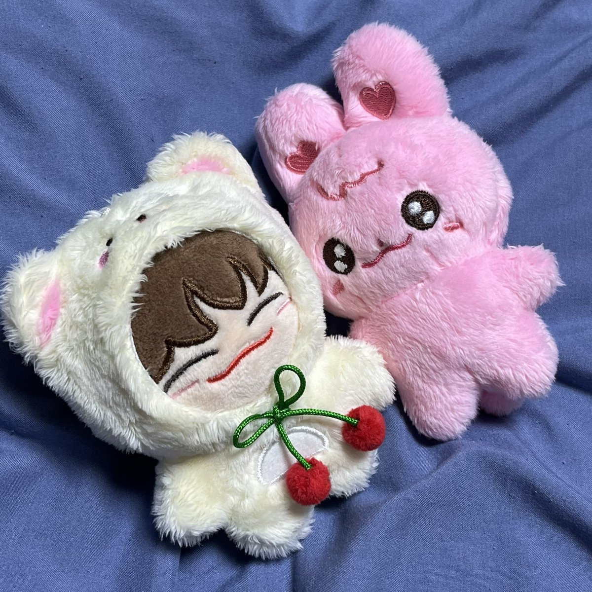 우리집 아기들을 소개함니당╰(*´︶`*)╯♡