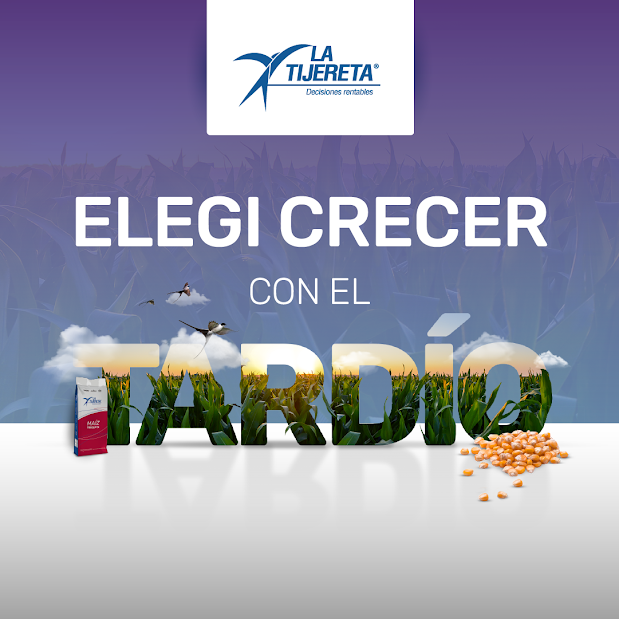 Estabilidad, los mejores precios y rendimiento del mercado, eso vas a encontrar junto a La Tijereta.

Elegí crecer y sumate a este equipo de soluciones en tardío💡🌱

¡Conocé nuestras novedades en <a href="/AgroBayerAR/">Agro Bayer</a>!