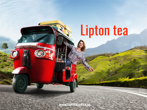 Secret Cache tweet media