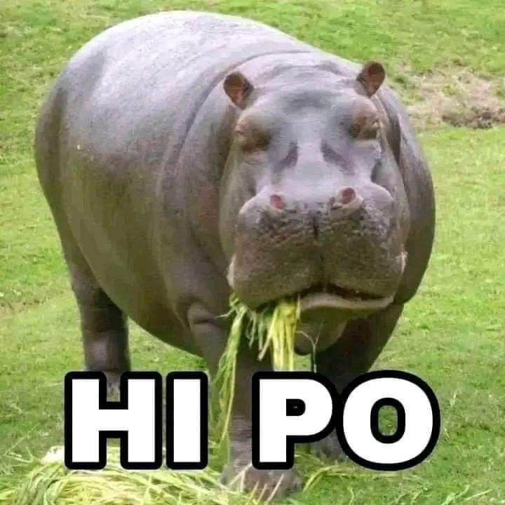 mari closed. (@woncroz) on Twitter photo 