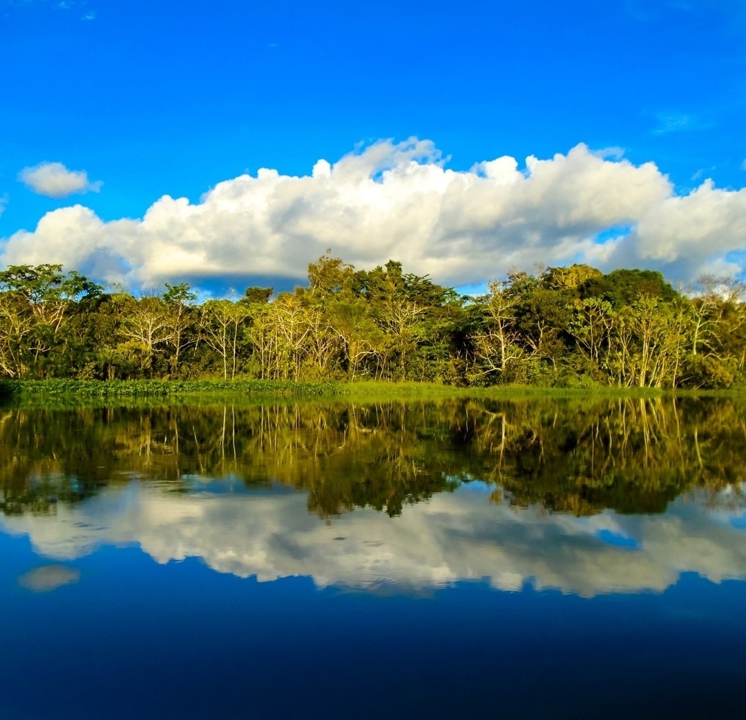 This is Amazon River! Isn't this beautiful?

#OkushuTours #OkushuExperiences #SmallGroupTravel #CanadianTravelAgency

#amazonriver #southamerica #bucketlisttravel #dreamnowtravellater #naturescenery #ecotoursim #naturetours #nature