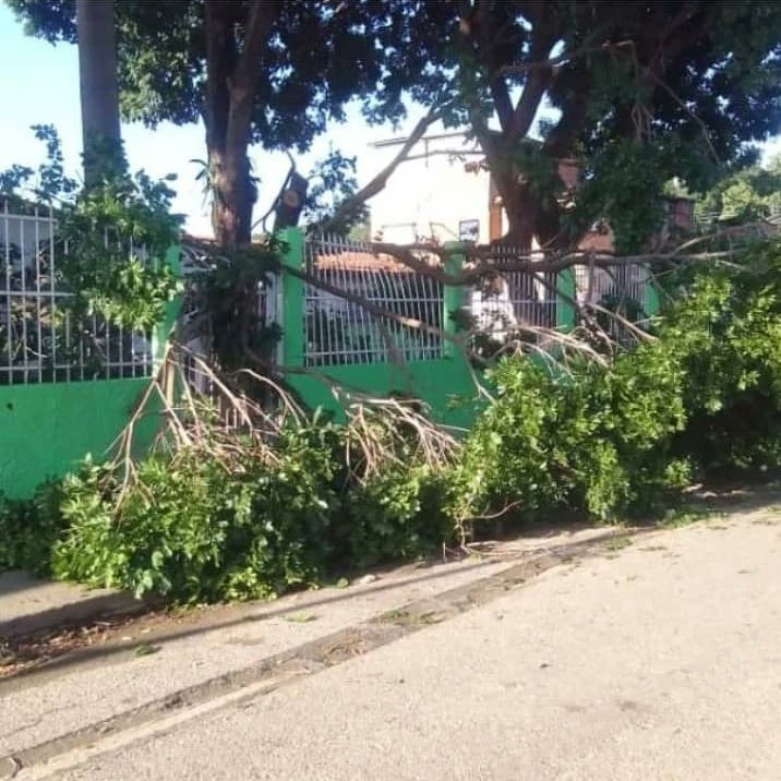 Valencia Propone tweet media