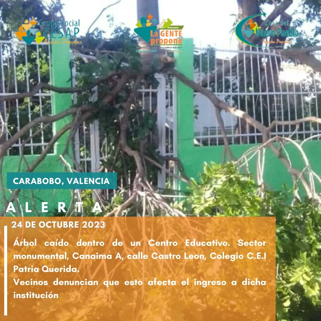 Valencia Propone tweet media