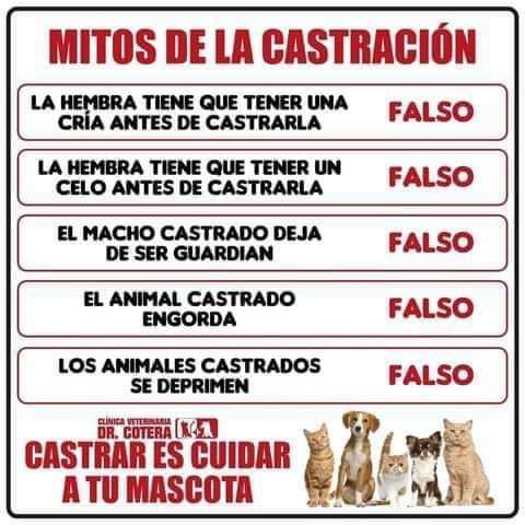 Muy buena información