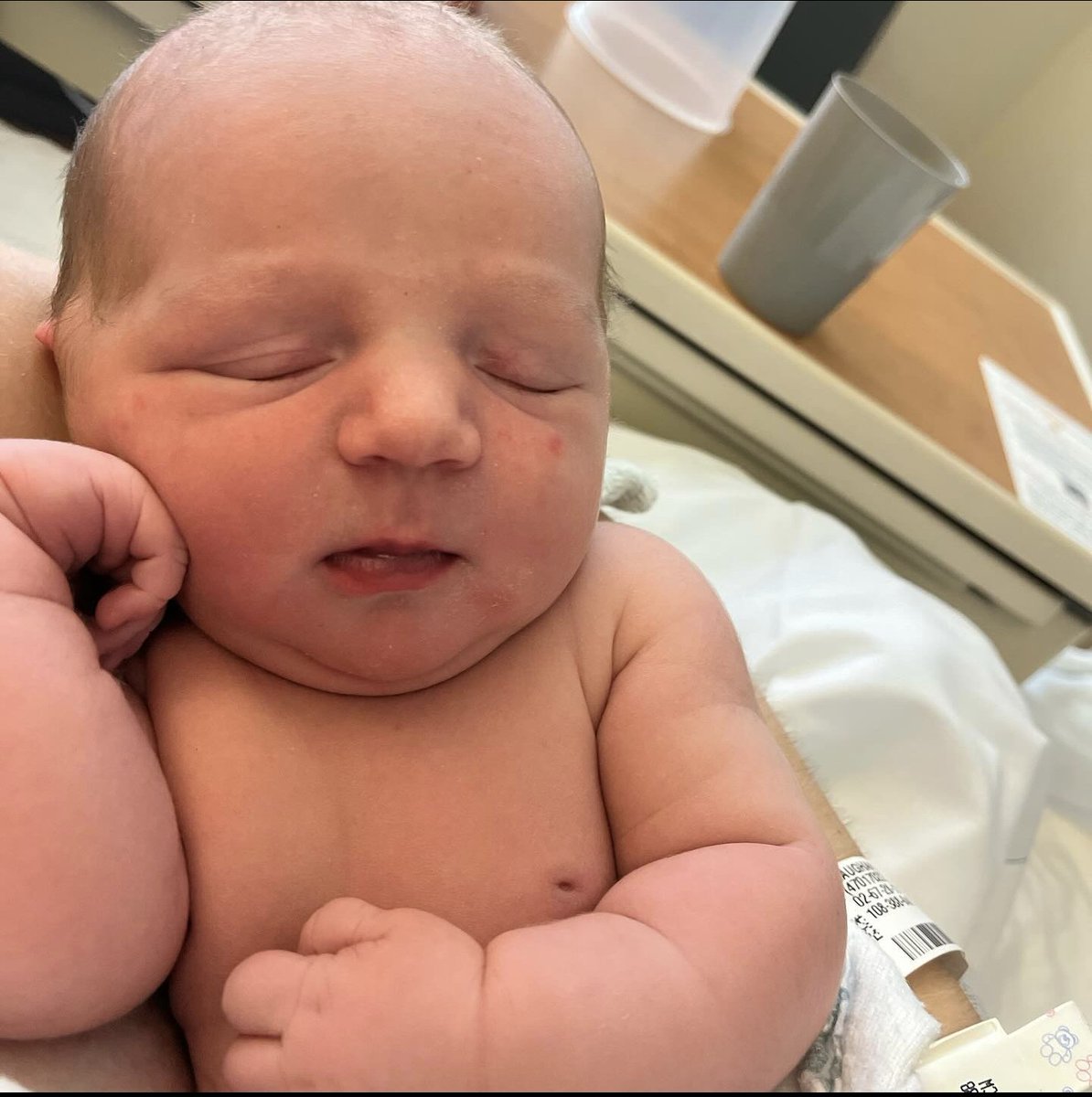 Kathi Gaughan ♜💈🔪🩸🥧 tweet media