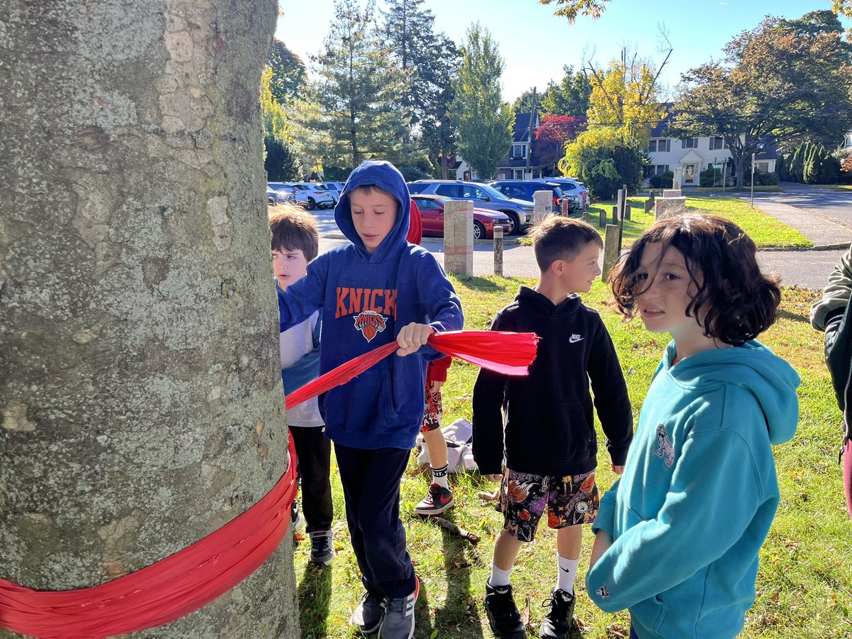 Patty Trustey tweet media