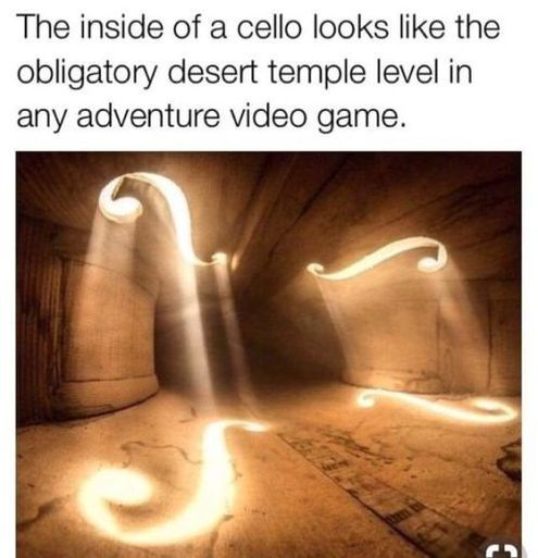 WholesomeMemes tweet media