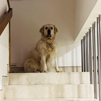 bacio_the's tweet photo. #NewProfilePic https://t.co/FkfuWCsgHN