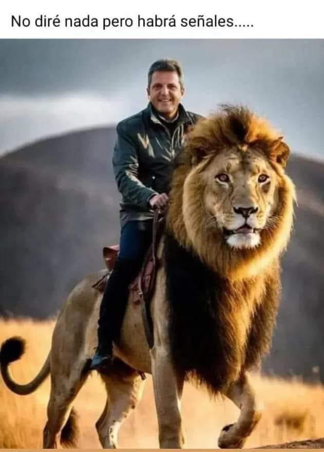 Así se hace compañero <a href="/SergioMassa/">Sergio Massa</a> ✌️✌️a domar al león y gobernar para todos y todas‼️🇦🇷