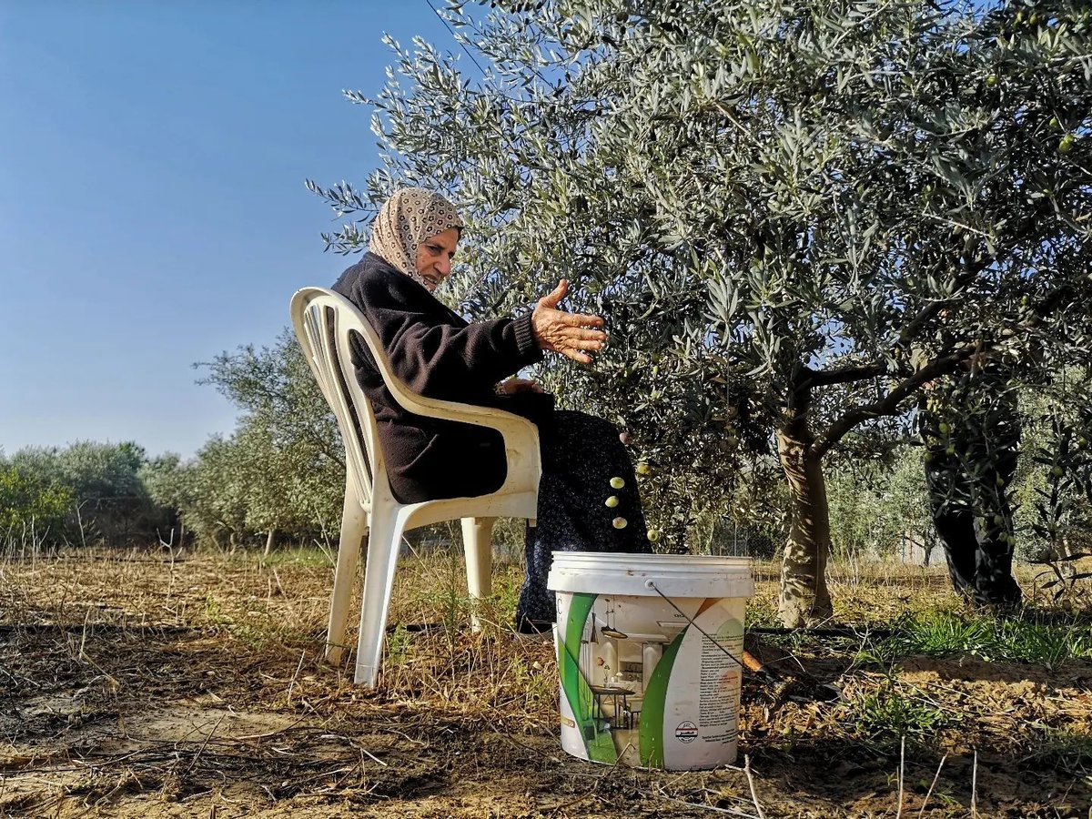 gulfphotoplus's tweet photo. “My Grandmother” by Majd Arandas

”Palestinian Bahja Arndas (86), has lived in Al-Nusirat camp in the center of Gaza strip after the occupation of Palestine in 1948, which was known as the "Palestinian Nakba"

Support Majd and his work by following him https://t.co/h9cLxskdgV https://t.co/A28QdRdhdC