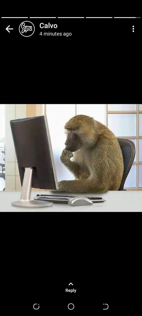 Kiptanui Boaz 🌐 tweet media