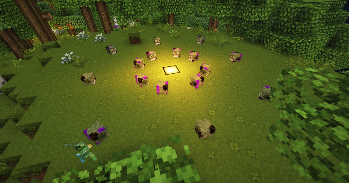 Marigoldensmp's tweet photo. something strange seems to be happening here

#minecraft #smp #minecraftsmp #loresmp #marigoldsmp https://t.co/uLJmArd9je