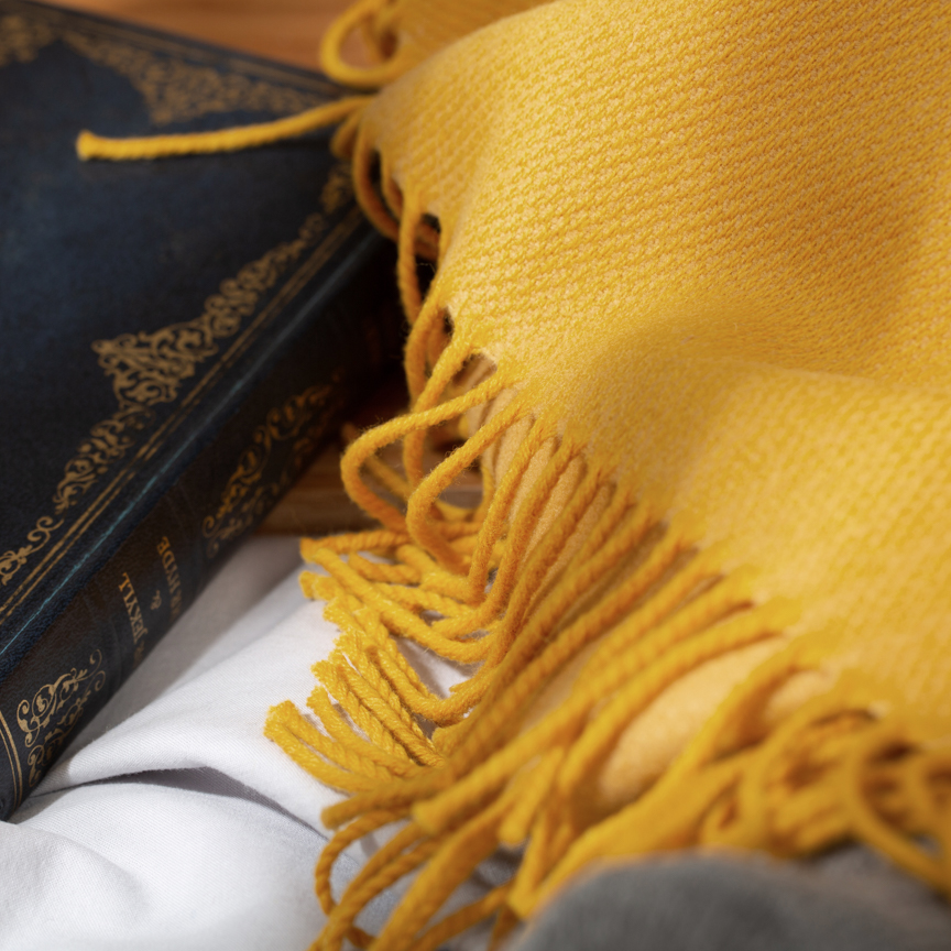 WarmDryCosy's tweet photo. On a grey October Tuesday, our focus is our gorgeous sunflower yellow merino blanket... The perfect colourful touch to bring a bit of happiness to the living room!
#CozyComforts
#MerinoMagic
https://t.co/RzKqsXCH3J https://t.co/6GxptQ45SY