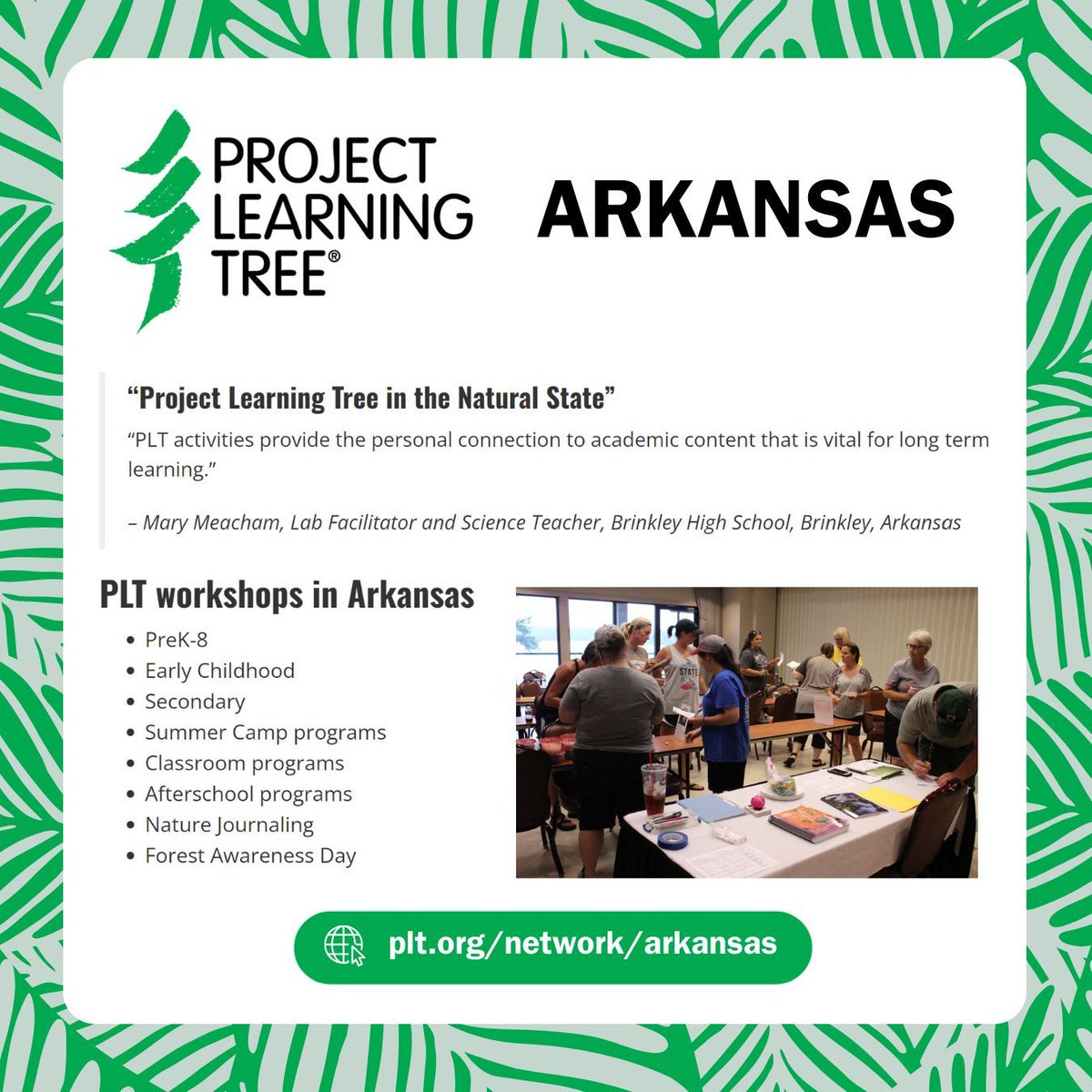 Arkadelphia Alliance and Chamber tweet media
