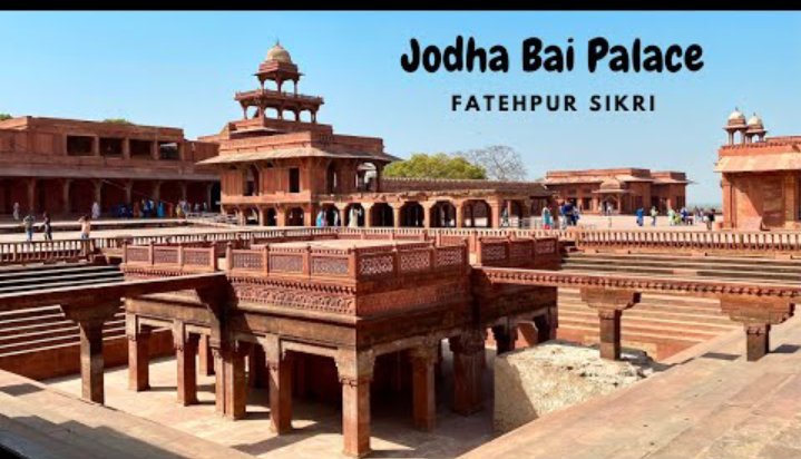 THE SOCIETY OF WARRIORS 🦁 tweet media