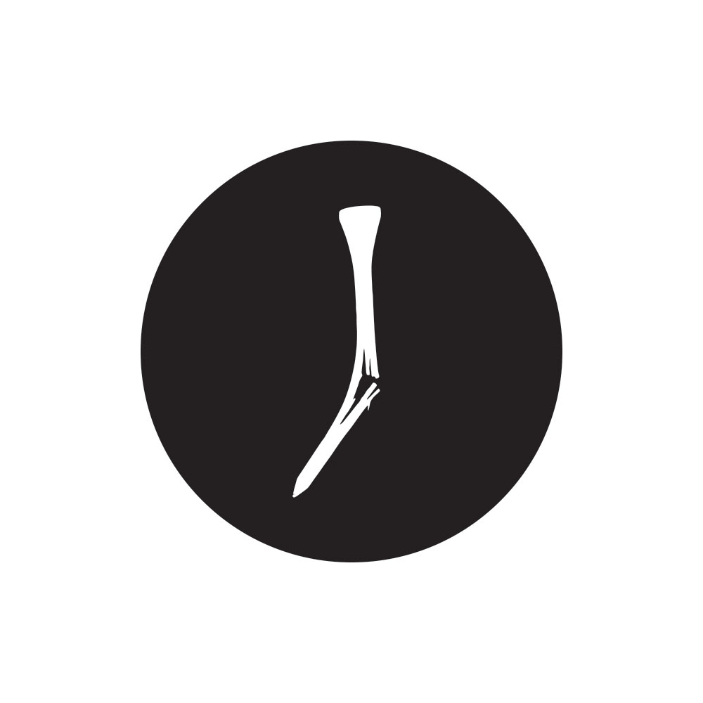 Judd Spicer tweet media