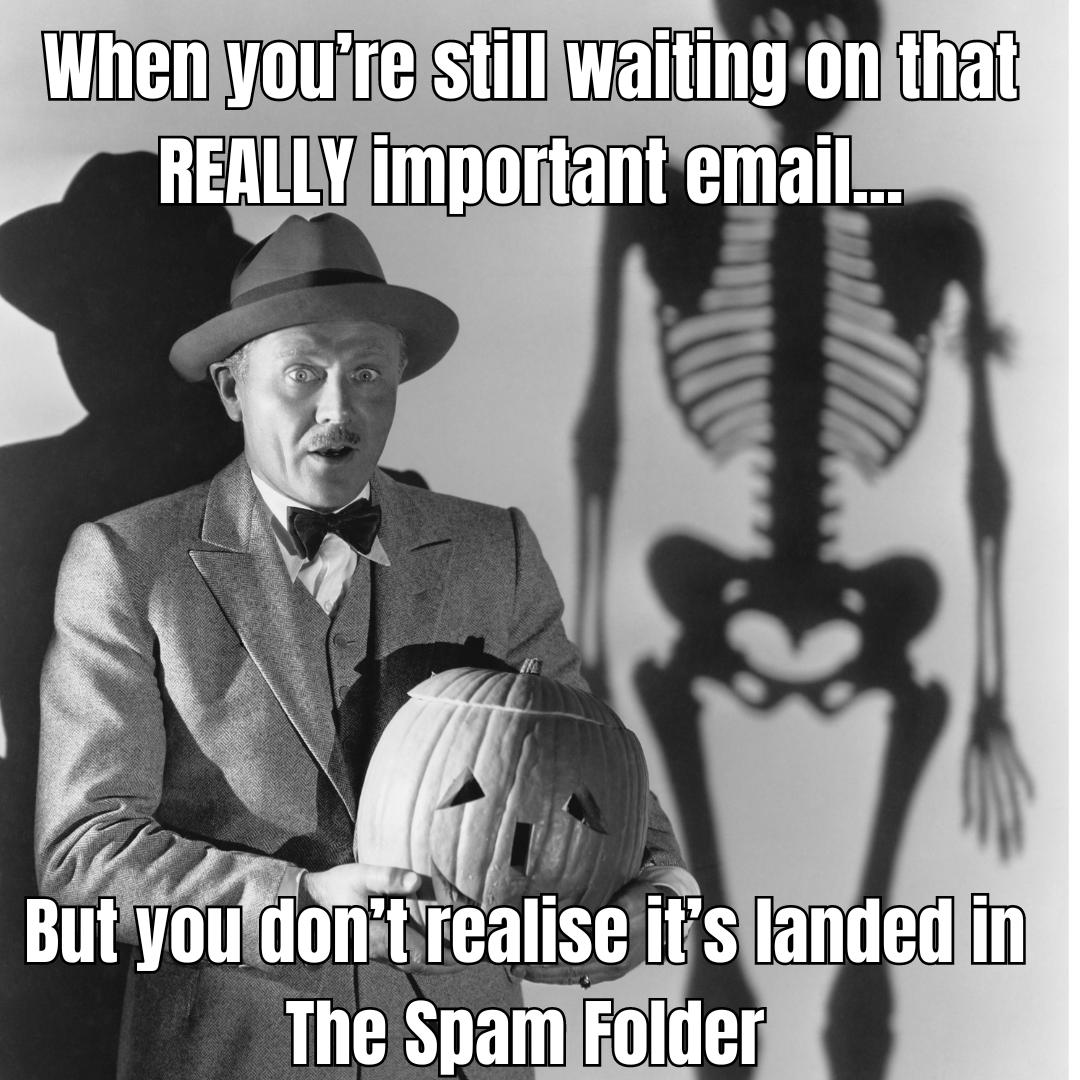 🧛‍♂️ Don't let email marketing haunt you! Join our FREE 2-hour training session supported by Mailchimp. Transform your campaigns from tricks to clicks. Reserve your spot today. #EmailMarketing #Mailchimp
bit.ly/3Q7OQs4
