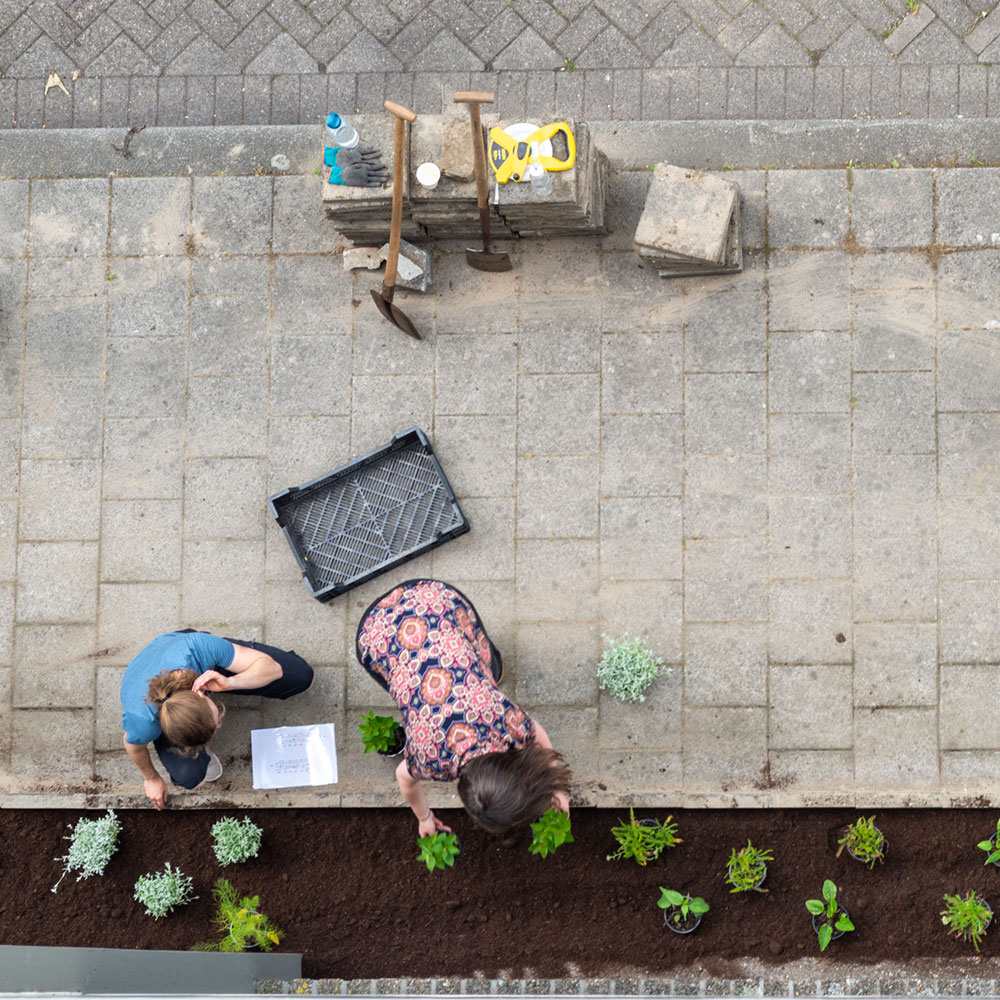 🤔 Have you ever heard of Tegelwippen? Tegelwippen is the Dutch Championship of Tile Flipping where this year, 166 Dutch cities are competing in the fierce competition to flip the most tiles and replaces them with plants, trees, grass and flowers 🌱 @tegelwippen