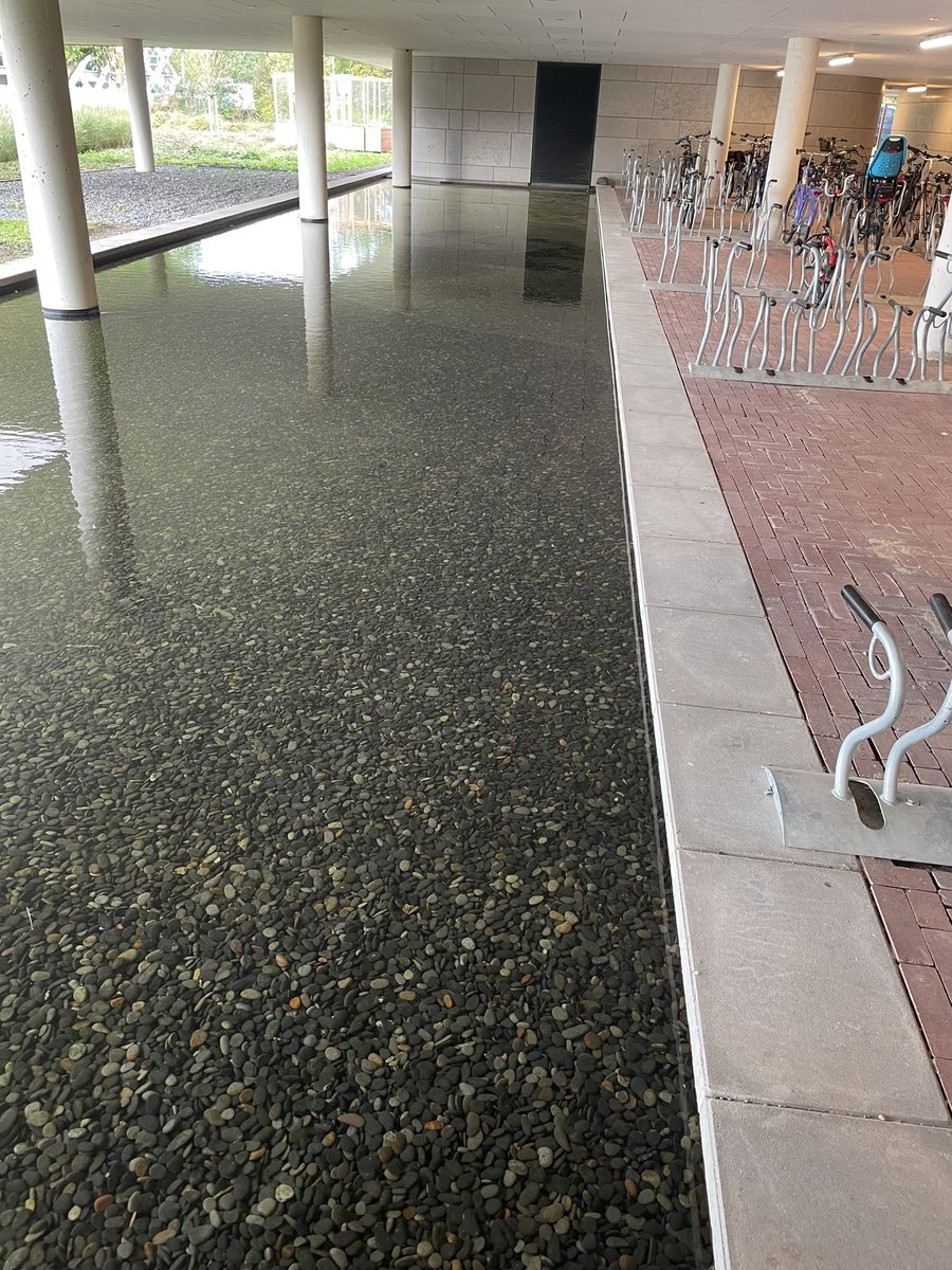 Sander Koenraadt (@bugproofbugprof) on Twitter photo I really love our campus and its atmosphere <a href="/WUR/">Wageningen U&R</a>, but some places are still a thorn in the side. Today, I even observed live mosquito larvae in the water of this ‘pond’ underneath our auditorium (Omnia). More greenness will promote natural enemies. <a href="/KarenKloth/">Karen Kloth</a> as witness ;). I really love our campus and its atmosphere <a href="/WUR/">Wageningen U&R</a>, but some places are still a thorn in the side. Today, I even observed live mosquito larvae in the water of this ‘pond’ underneath our auditorium (Omnia). More greenness will promote natural enemies. <a href="/KarenKloth/">Karen Kloth</a> as witness ;).