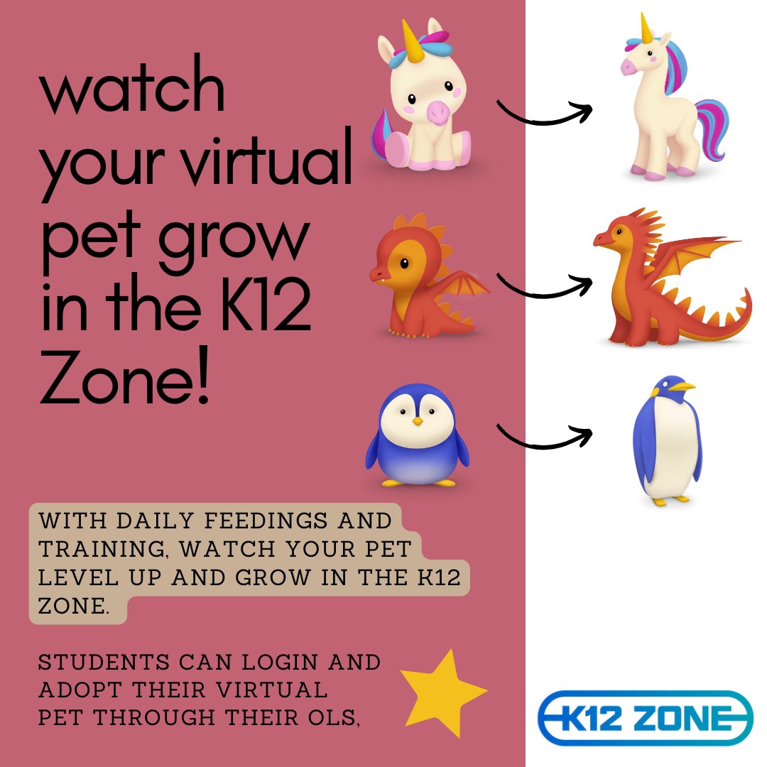 Has your student checked out the K12 Zone?  The can access the zone from the OLS links menu.  It's open before school, lunchtime, 6th period Monday-Friday.  It also open after school Tuesday, Wednesday, Thursday.
