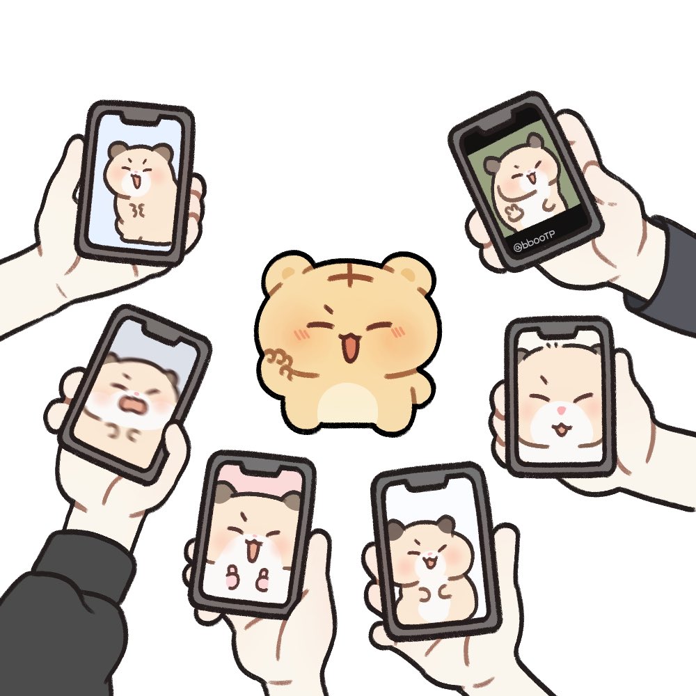 MZ 귤과 햄수타