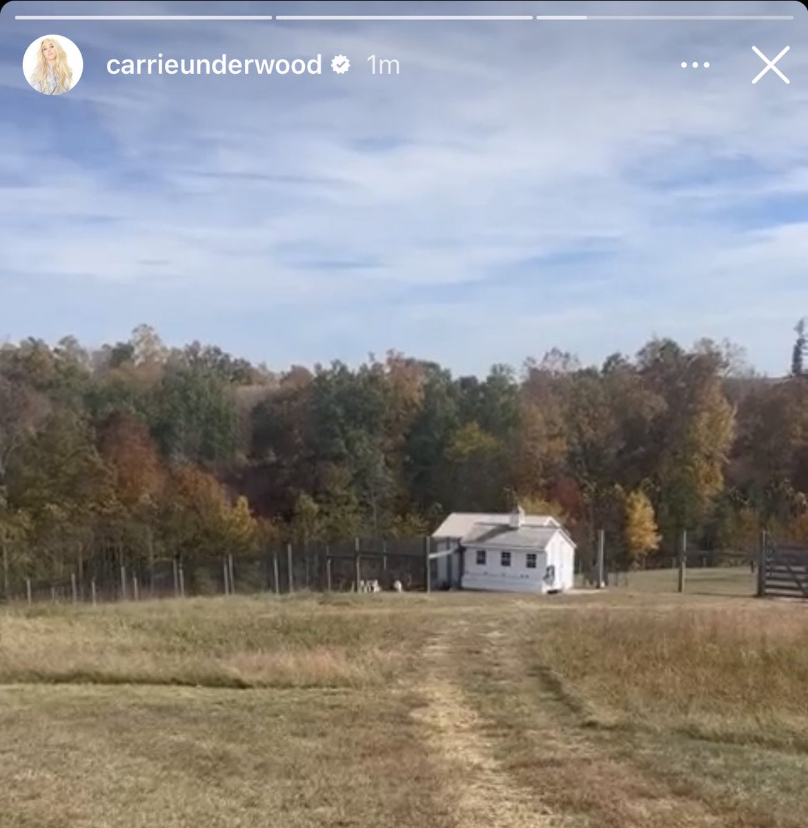 creecher28's tweet image. This woman’s chicken coop is bigger than my apartment 🫠🙃 #ChickenMath