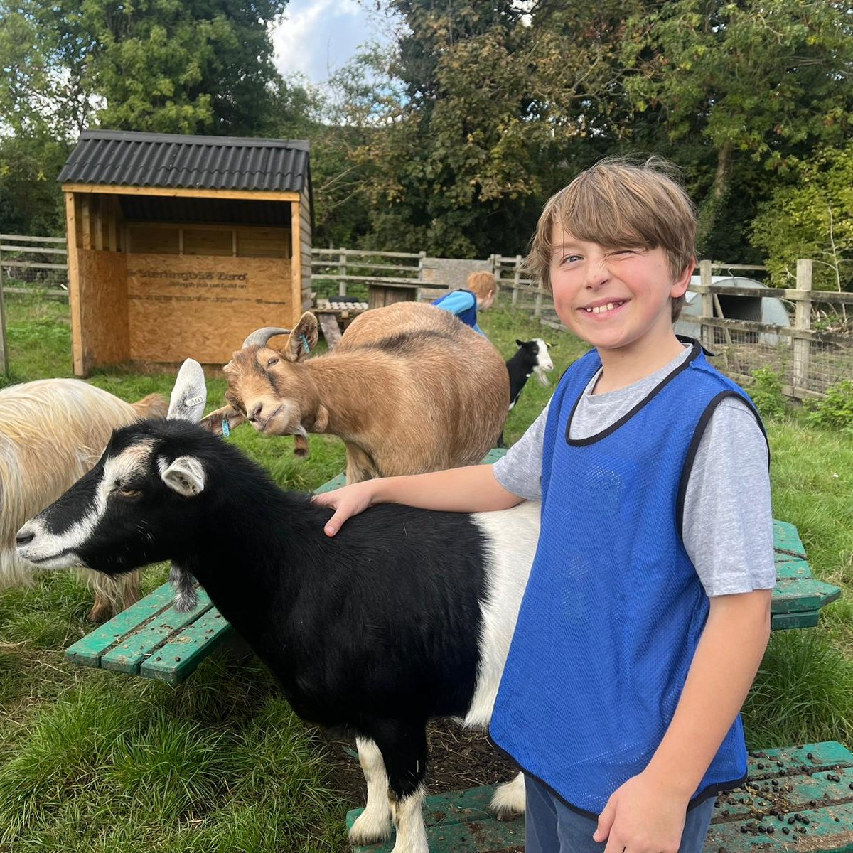 deencityfarm's tweet photo. The sun has come out for the first day of our half term Own a Pony &amp; Younger Farmer Experience Days &amp; everyone is having a great time!

There are only a few spaces left for the rest of the week.

Find out more and book here: https://t.co/yo6HZgmMtJ
#thingstodo #halftermactivities https://t.co/4Wil5IuMnc
