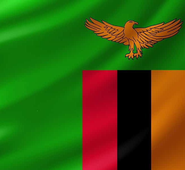 SoftLife_King tweet media