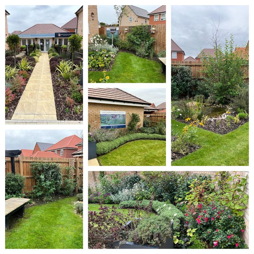 Good morning, autumn colour.

#gardeningservices #propertymaintenanceservices #commercialgardening #gardenerslife