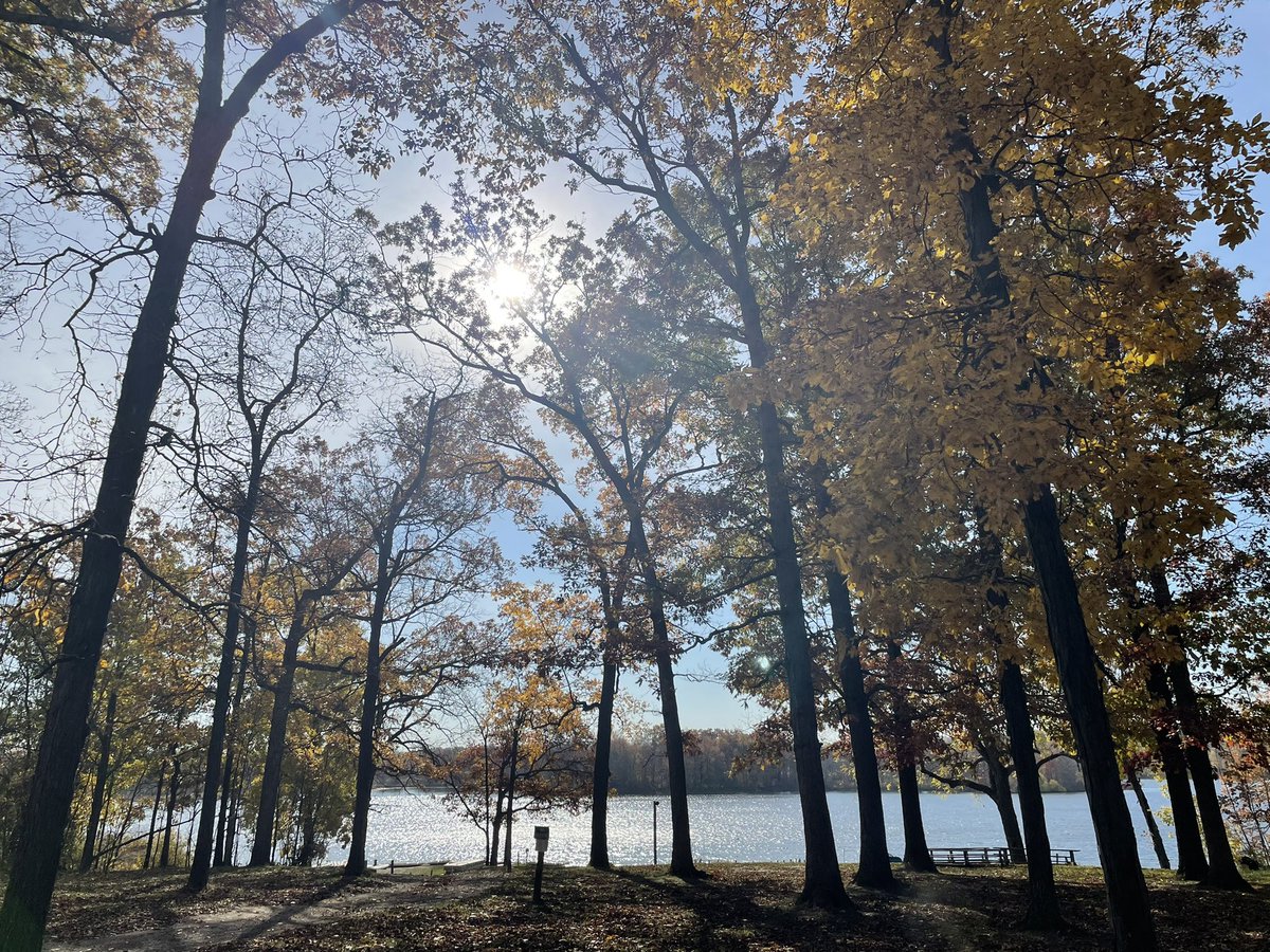 Seth Berg tweet media