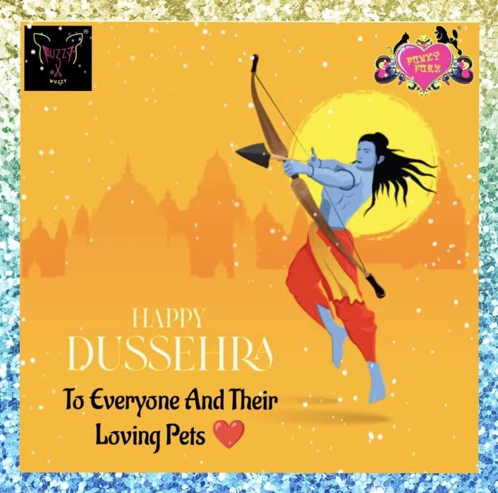 FuzzyRadhiya's tweet photo. Happy Dussehra to Everyone And Their Loving Pets 🙏
#dussehra #festival #Karnatakafestival #bengaluru #happy https://t.co/aJ3OMmVmAo