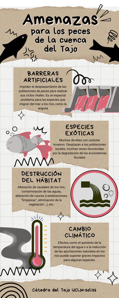 catedradeltajo's tweet photo. ¿Conoces las amenazas que afectan a las poblaciones de peces autóctonos de la cuenca del Tajo? En la infografía te lo explicamos.

Y si quieres saber más: El jueves 26 de octubre, a las 19,00 h. en la sede de la @fundaciontoledo, no te pierdas la conferencia de Fernando Alonso. https://t.co/OUe2kNcUaQ