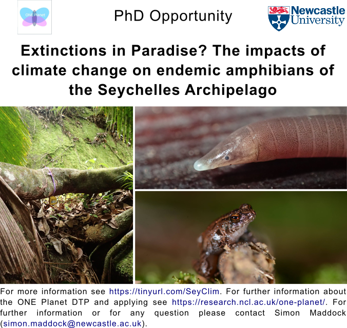 🚨PhD Alert🚨 I am currently advertising for an awesome PhD project that will be looking at #ClimateChange and it's impact on Seychelles #amphibians. The project will involve plenty of fieldwork in the Seychelles, molecular lab work and climate modelling. More information below: