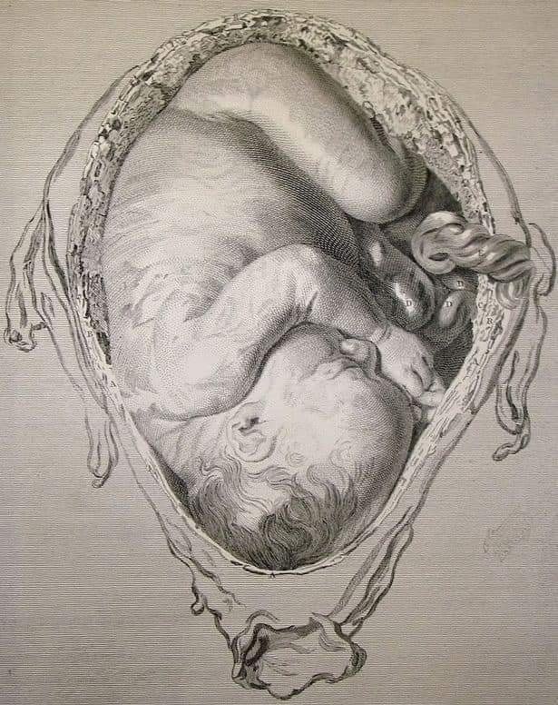L'interaction entre une mère et son bébé pendant la grossesse va bien au-delà de ce que l'on pouvait imaginer. Le phénomène du microchimérisme fœtal-maternel est véritablement fascinant. Pendant les 41 semaines de la grossesse, des cellules du bébé migrent dans le sang de la…