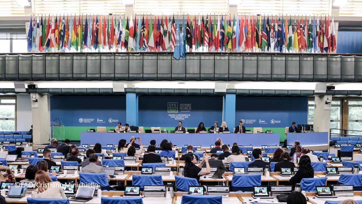 UN_CFS's tweet image. #BreakingNews 🌍#CFS51
🔴The Voluntary Guidelines on #Gender Equality and #Women&apos;s and Girls Empowerment in the context of #FoodSecurity and Nutrition have been endorsed!

With their crosscutting nature, they address a vital dimension that transcends all sectors of society.