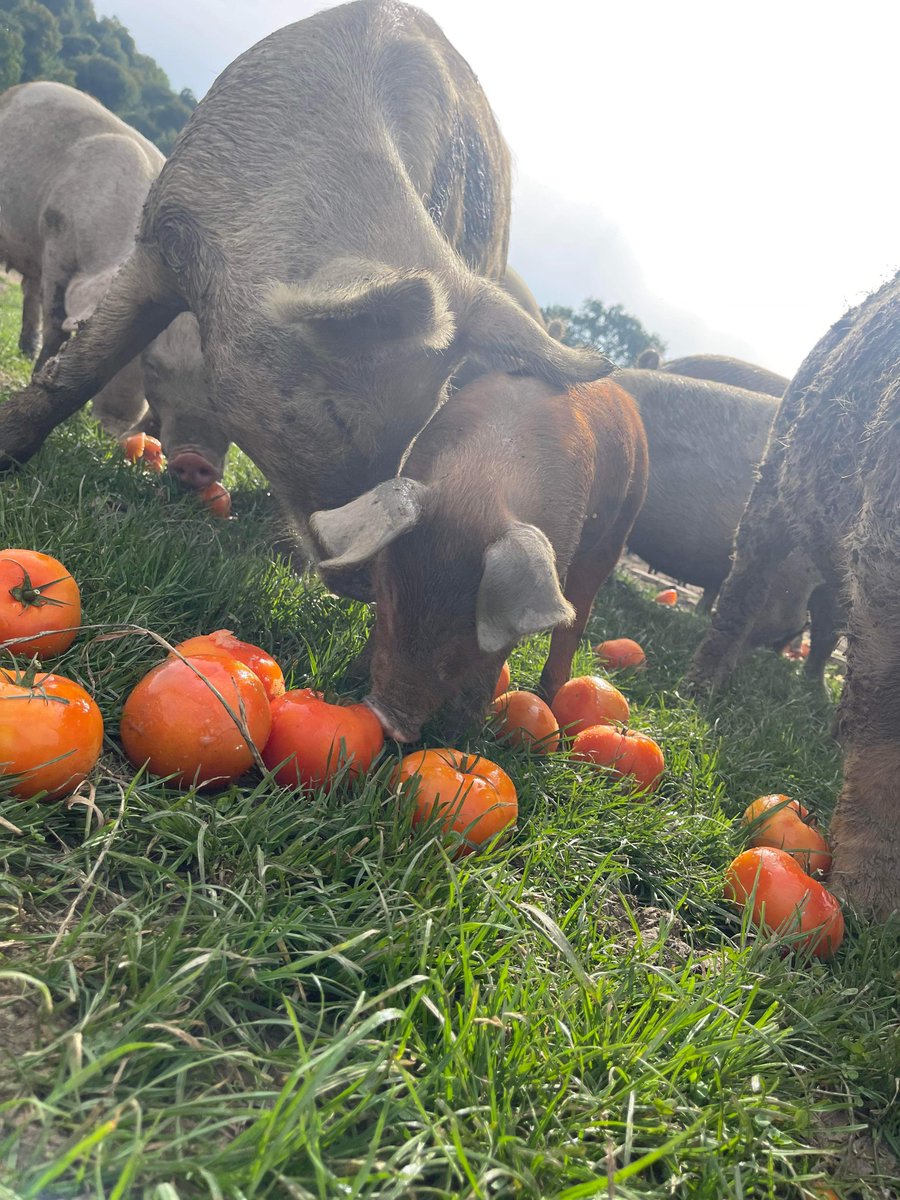 Freemans Event Partners tweet media