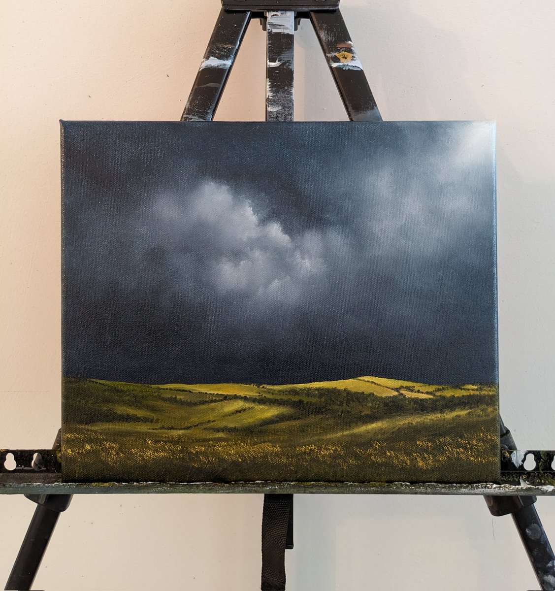 Today's painting 🎨 

#art #painting #artwork #ArtistOnX #clouds #landscape #landscapeart #originalart #arte #countryside #ukart #Somerset